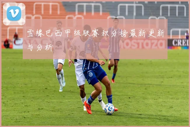 雪缘巴西甲级联赛积分榜最新更新与分析