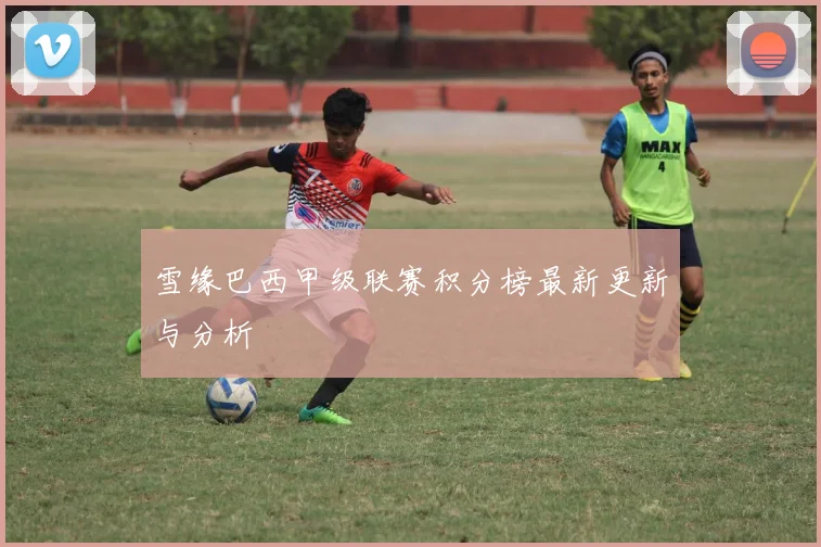 雪缘巴西甲级联赛积分榜最新更新与分析