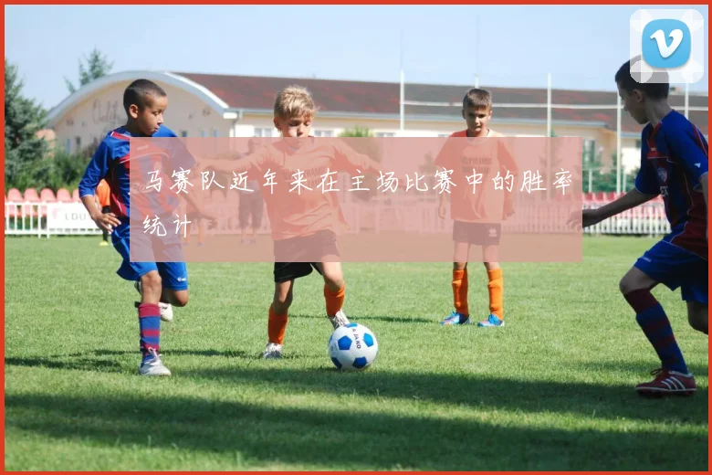 马赛队近年来在主场比赛中的胜率统计